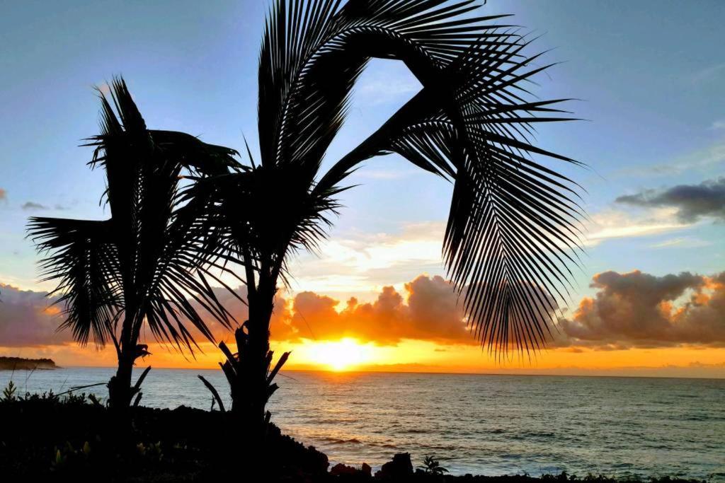 Pahoa Paradise Palms Exterior foto